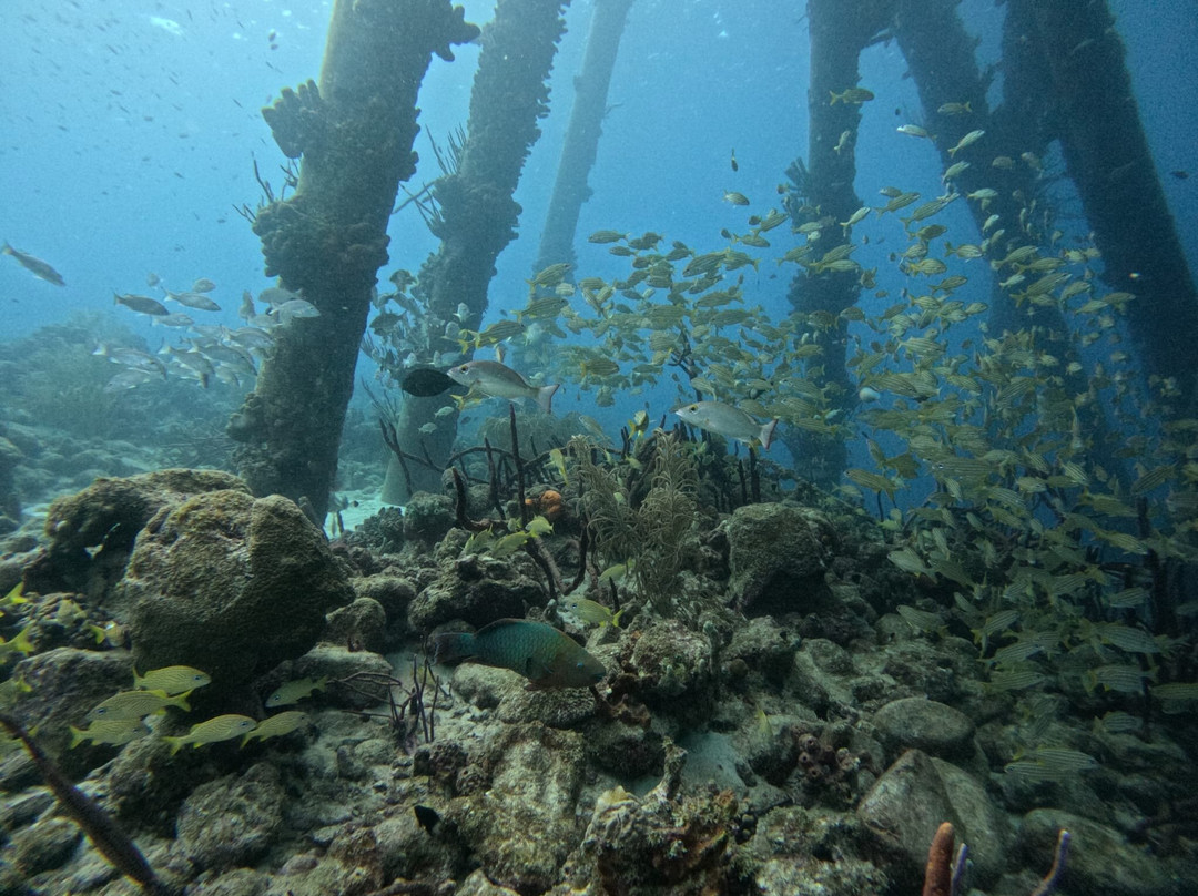 Salt Pier-Kralendijk必去景点