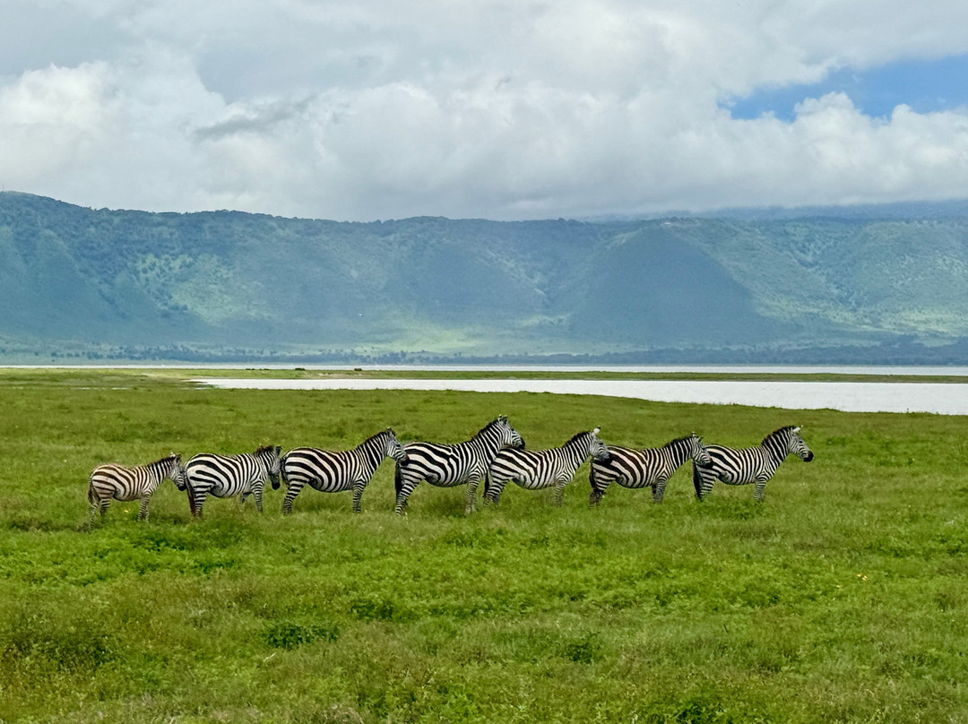 Unlimited Expeditions - The Soul Of Tanzania-阿鲁沙必去景点
