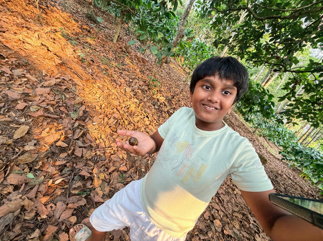 马辛德拉维拉杰佩特俱乐部酒店主图