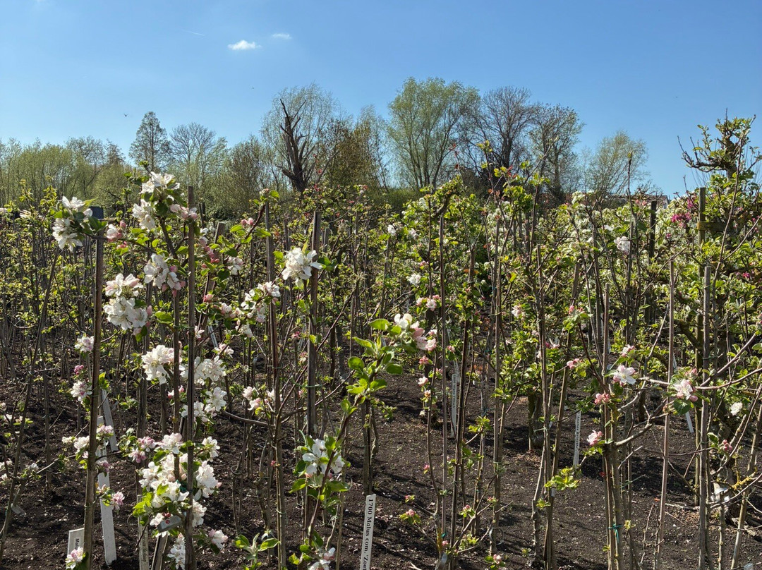 Tuinbouwmuseum Historische Tuin Aalsmeer-Aalsmeer必去景点