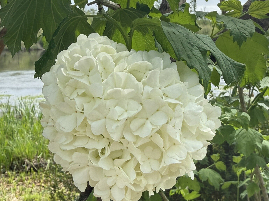 Promenade Fleurie-Mimizan必去景点