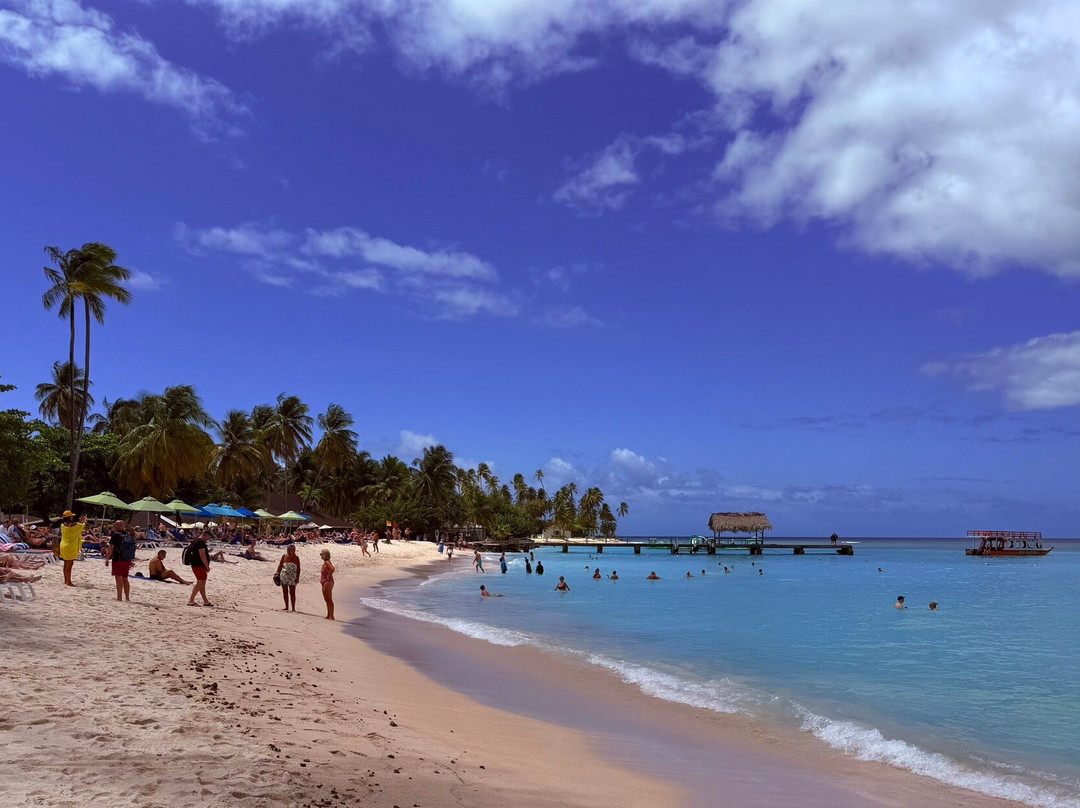 Pigeon Point Beach-多巴哥必去景点