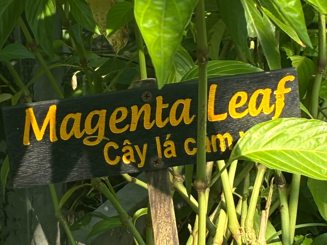 富国岛蜜蜂农场-富国岛必去景点