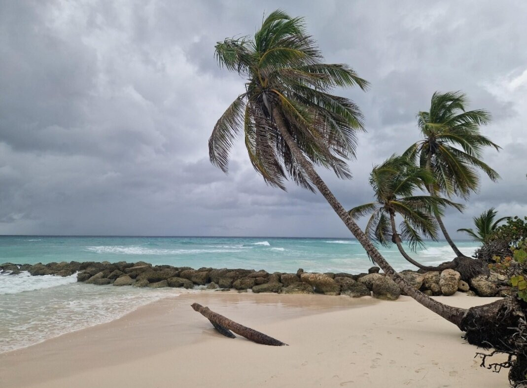 巴巴多斯三角梅酒店主图