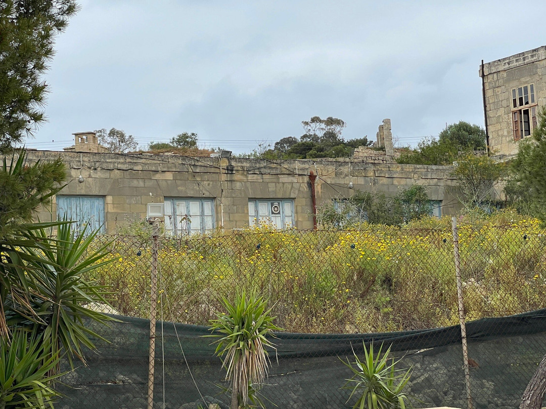 马耳他旅游景点-Manoel Island