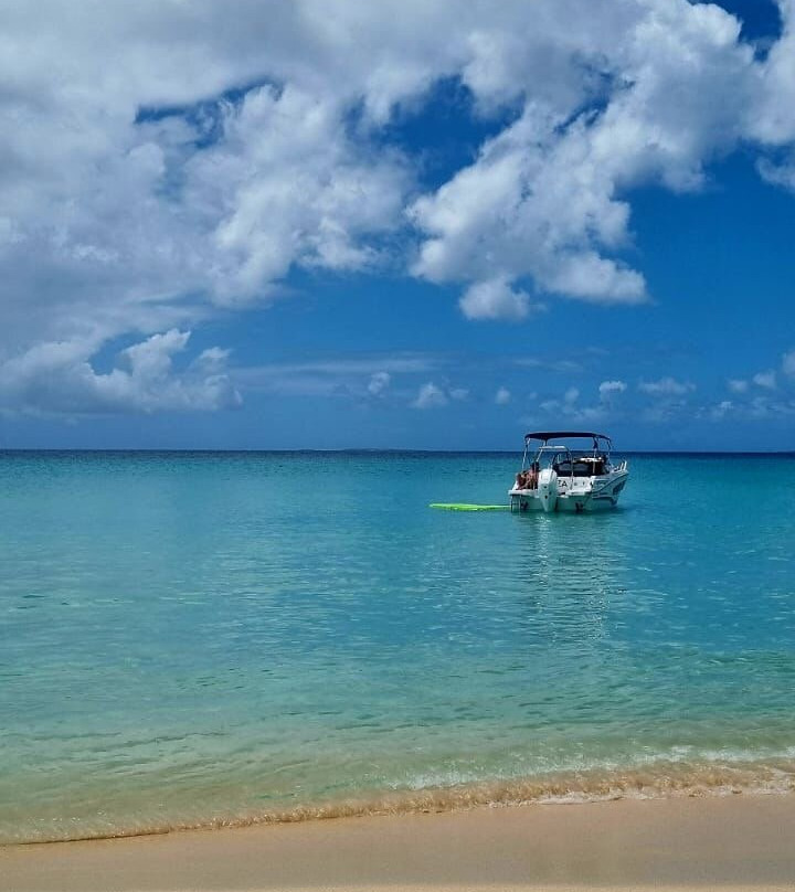 Boat Serenity-Baie Nettle必去景点