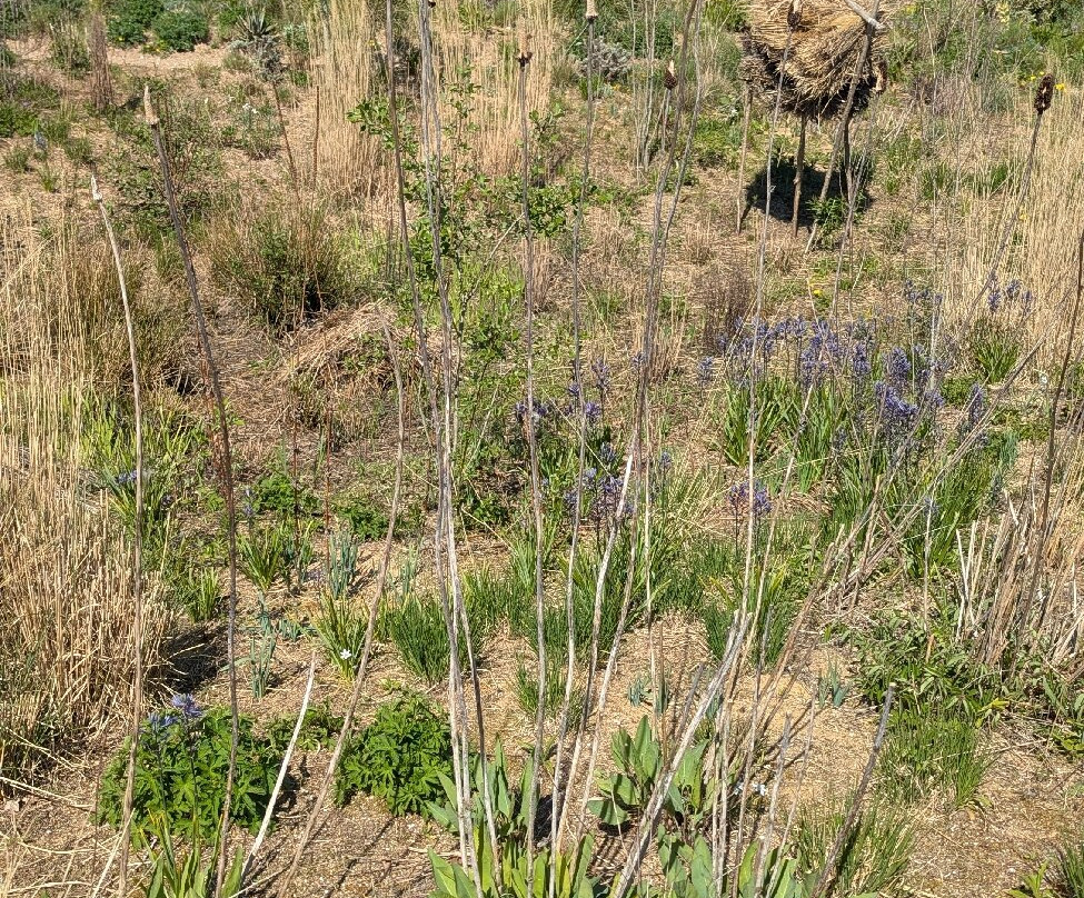 Knepp Wildland Safaris-霍舍姆必去景点