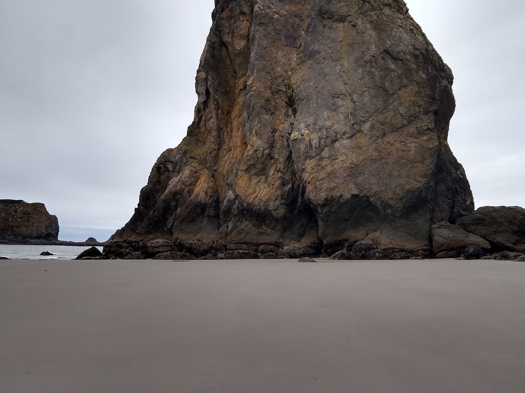 Second Beach-La Push必去景点