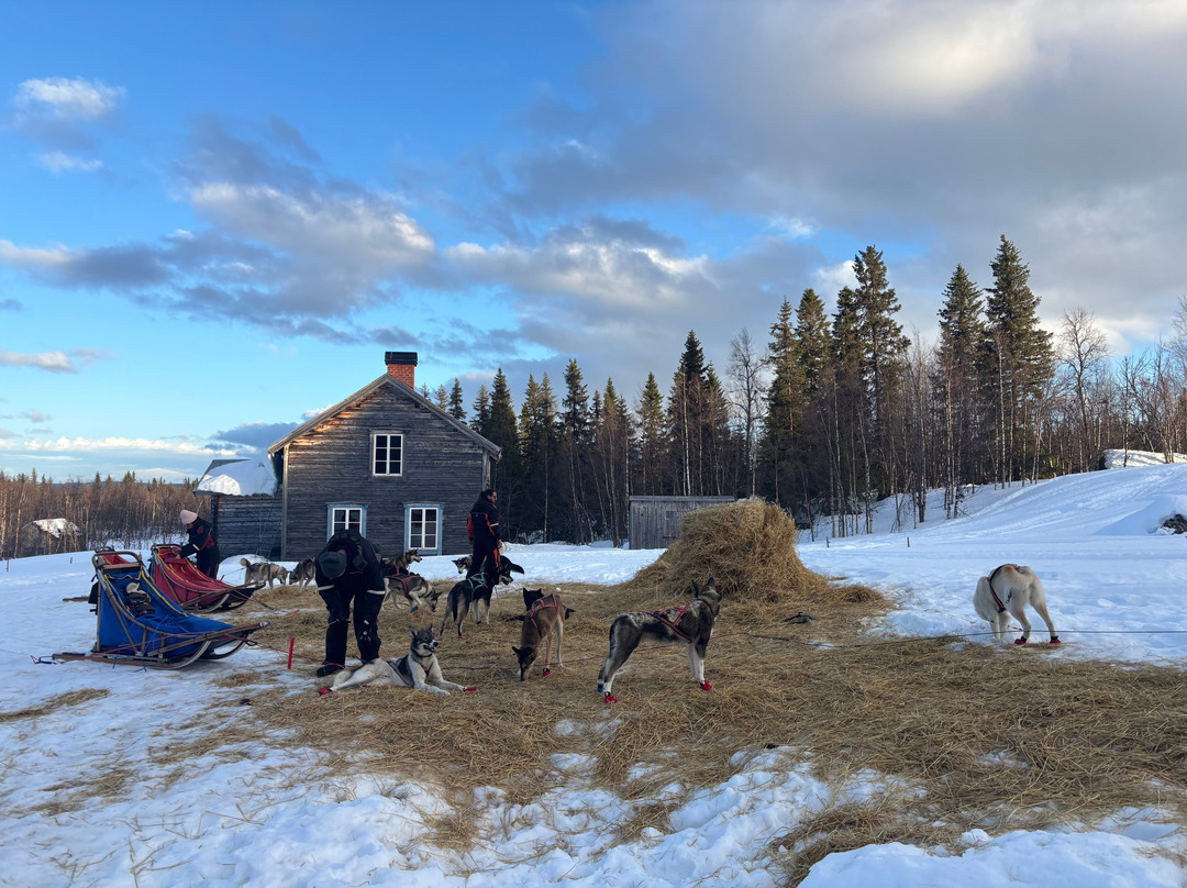 Petter Karlsson Sleddogs-Slussfors必去景点