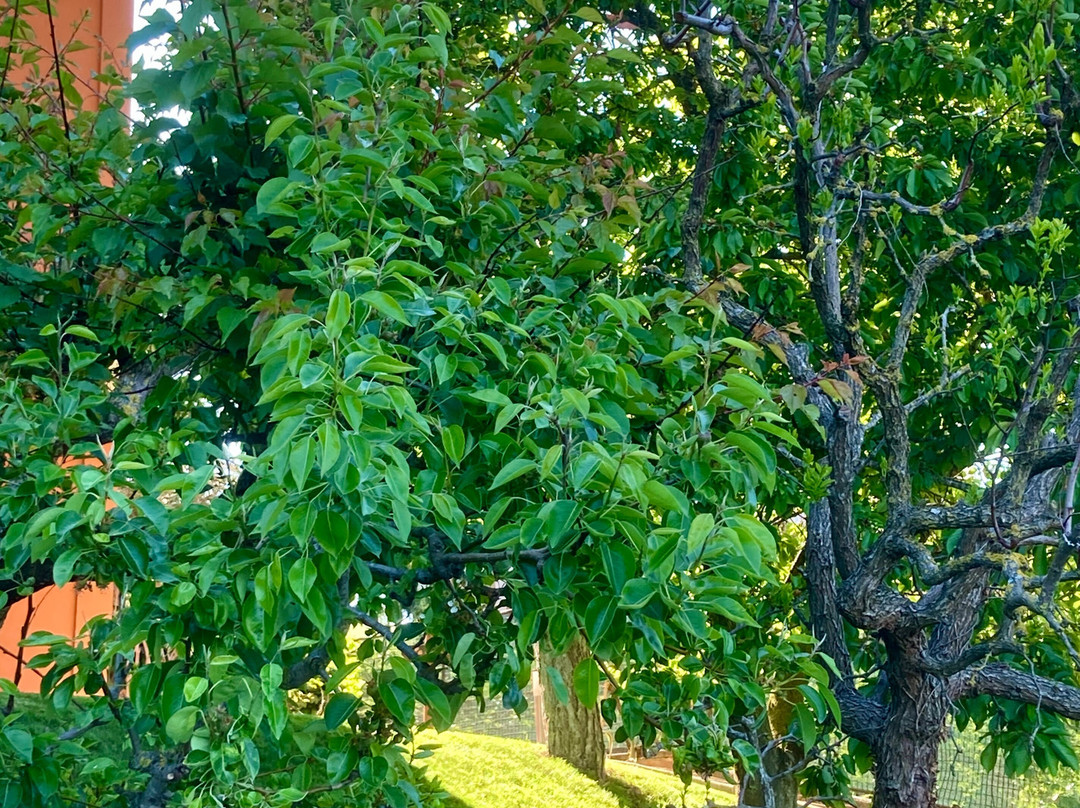 LA GRADINA B&B主图