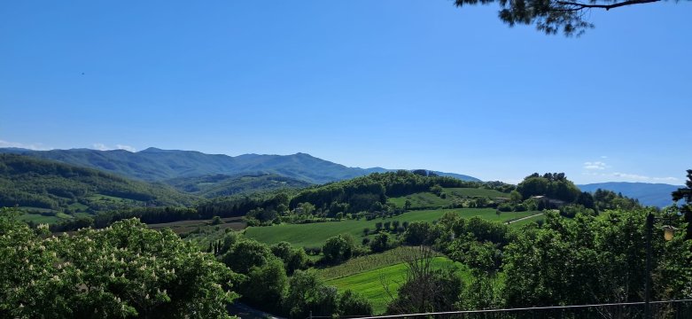 米其丽娜家庭旅馆-旅行者