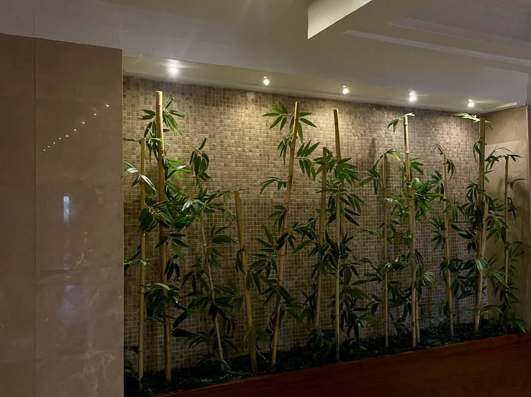 Alusso Thermal Hotel & Spa 阿鲁索温泉酒店及水疗中心主图