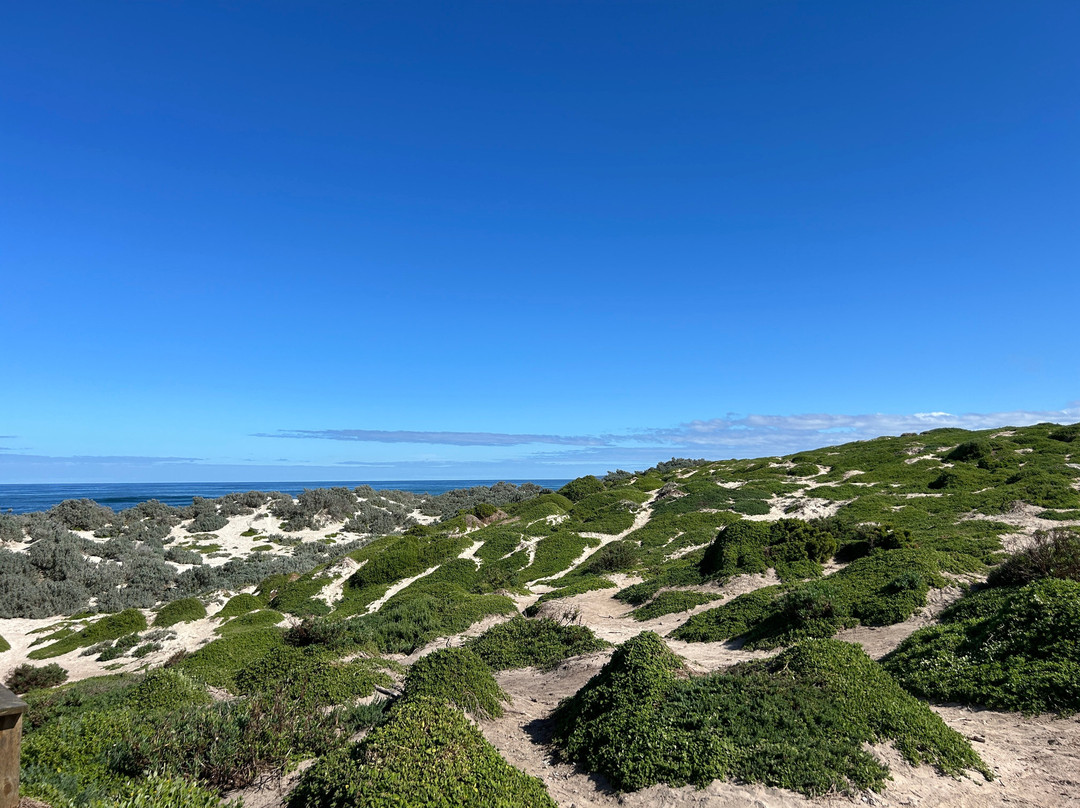 Kangaroo Island Trails-金斯科特必去景点