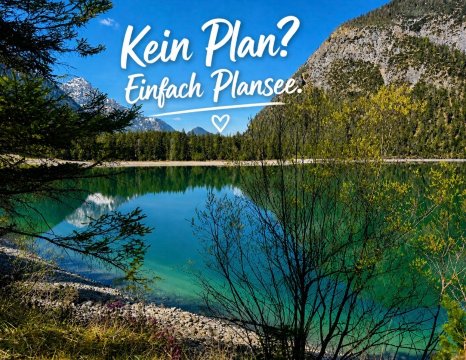 Wellness Aparthotel "Lechlife" Incl Pool - 400m Zum Skilift-旅行者