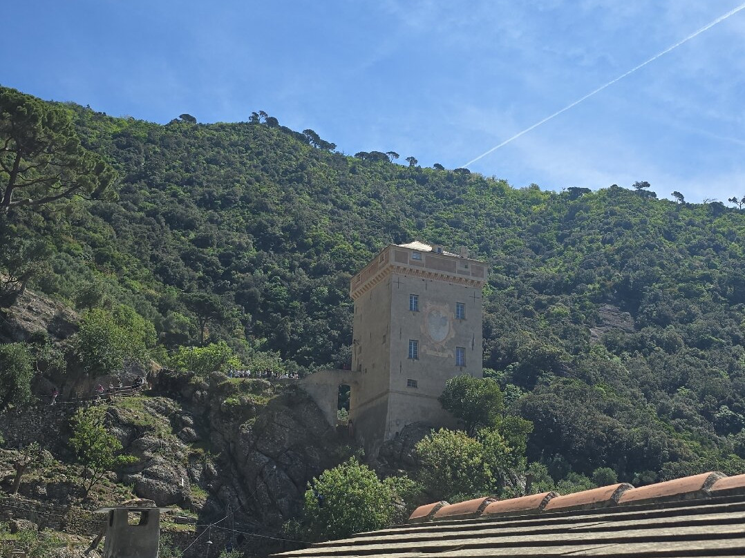Abbazia di San Fruttuoso-卡莫利必去景点