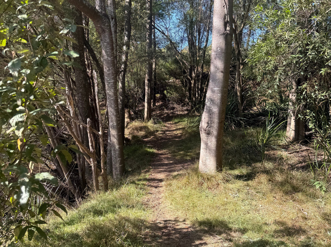 Tin Dragon Trail Cottages主图