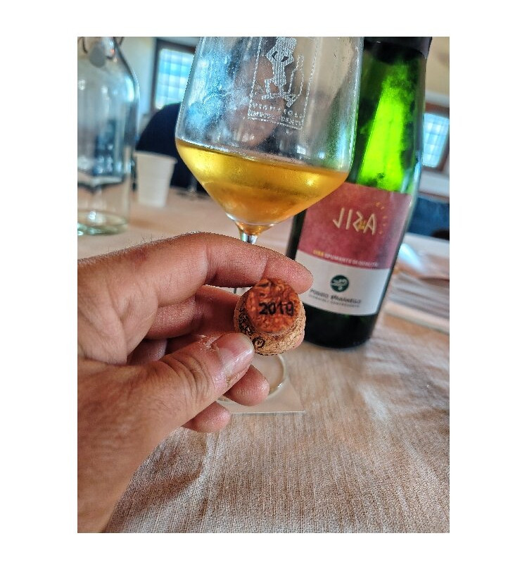 Poggio Bbaranèllo -Vignaioli Controvento-蒙特菲亚斯科内必去景点