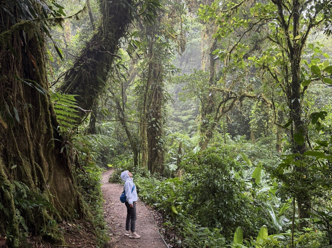 Waking Dreams Costa Rica-圣何塞必去景点