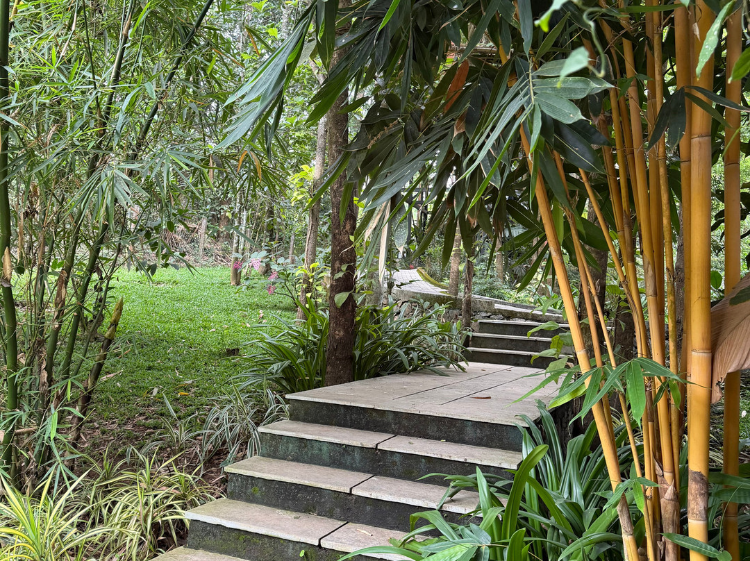 Crystal Kuruva Nature Resort & Spa主图