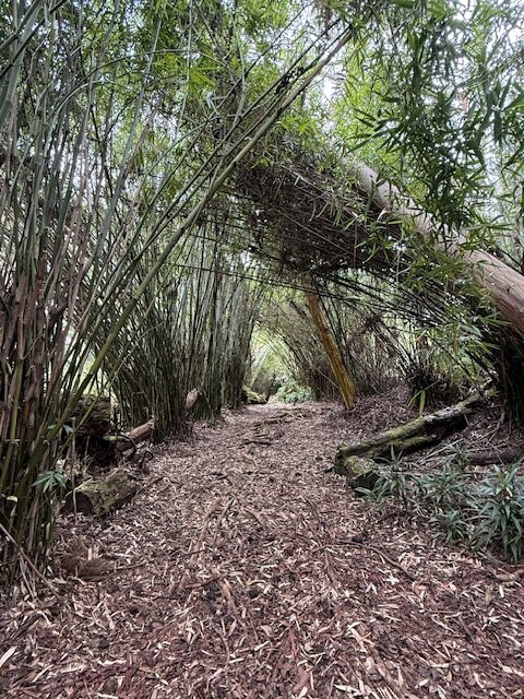 Kona Cloud Forest Sanctuary-凯鲁瓦-柯纳必去景点