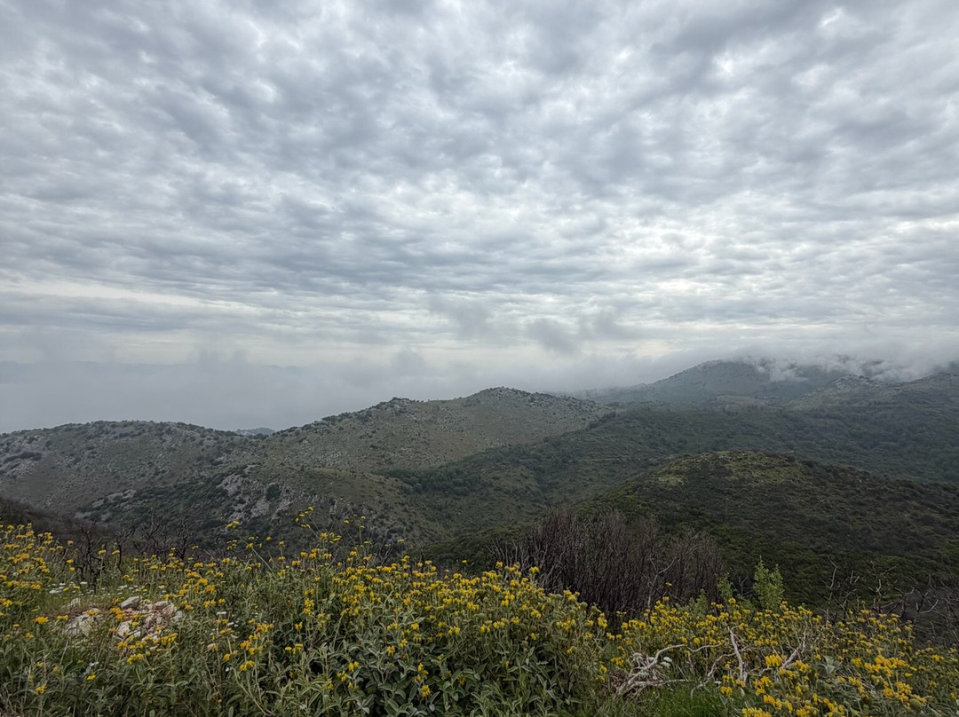 Quad Corfu Adventure-Acharavi必去景点