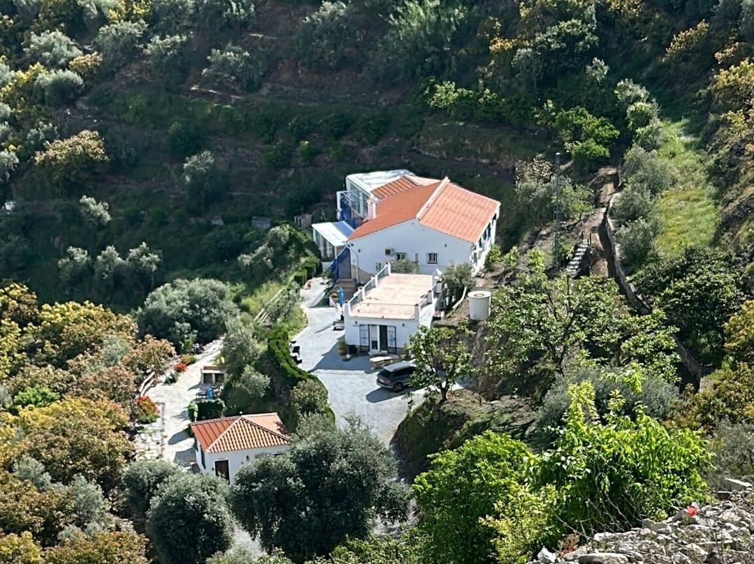 Finca Floretta主图