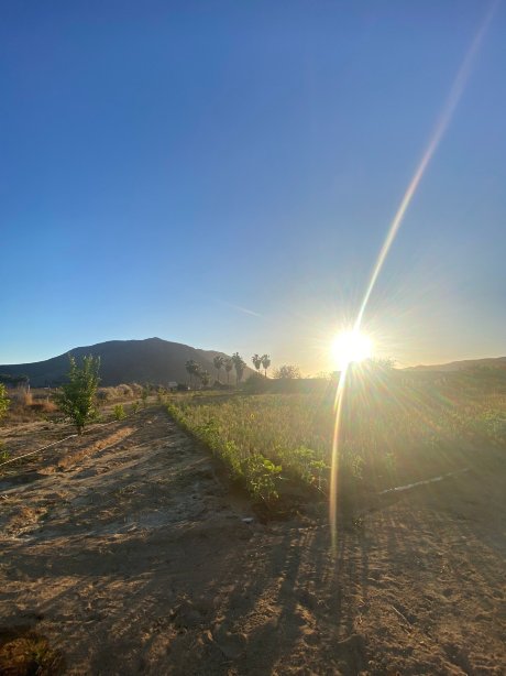 Paradero Todos Santos-旅行者