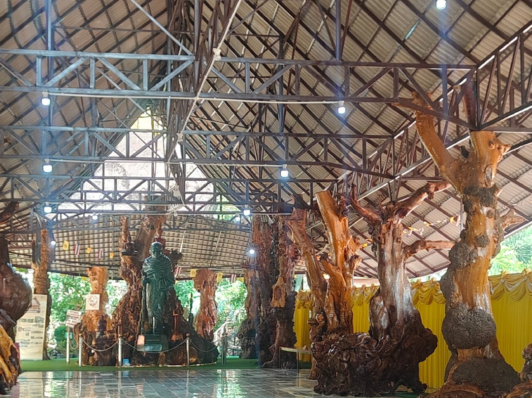 Wat Tham Pha Daen-沙功那空必去景点
