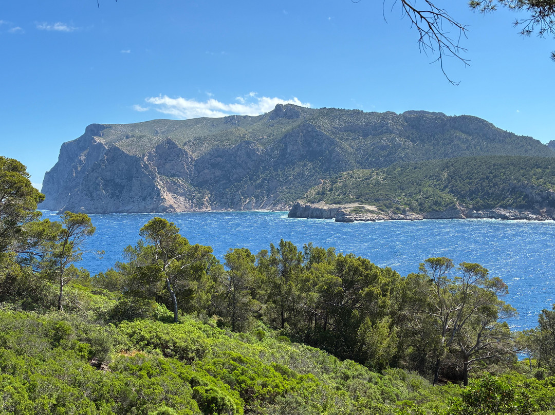 Wander Jürgen Mallorca-帕格拉必去景点