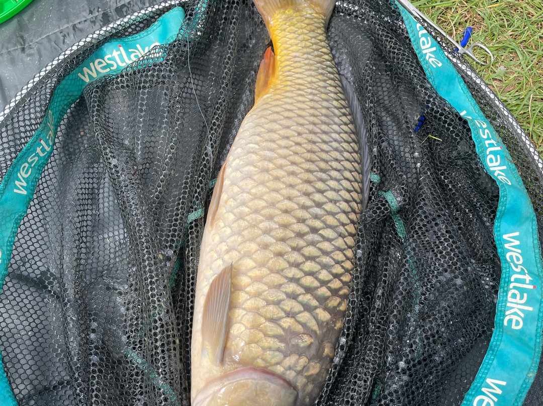 Burton Springs Fishing and Holidays-布里奇沃特必去景点
