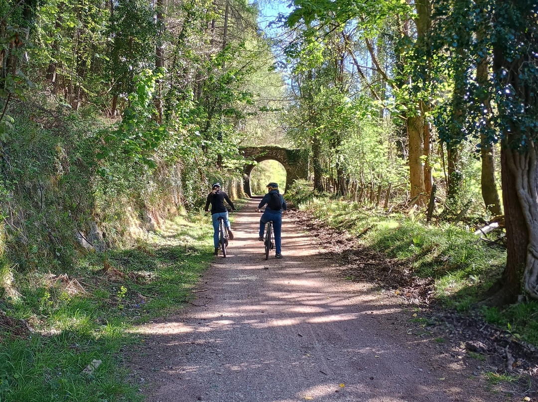 Forest of Dean Cycle Centre-Coleford必去景点
