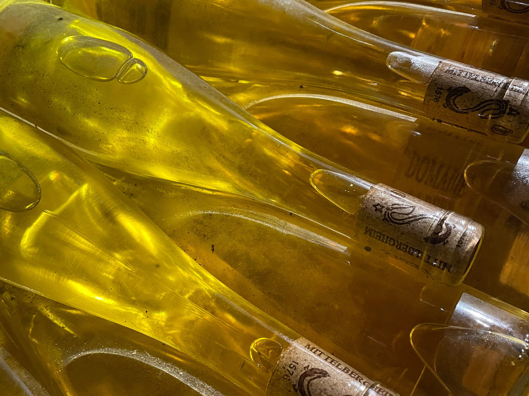 Domaine Albert Seltz-米特贝汉必去景点