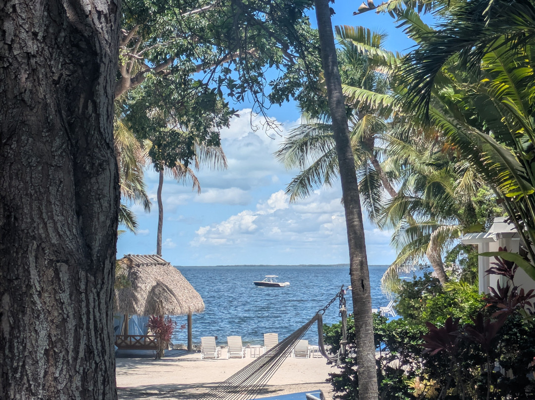 阿祖玛尔酒店主图