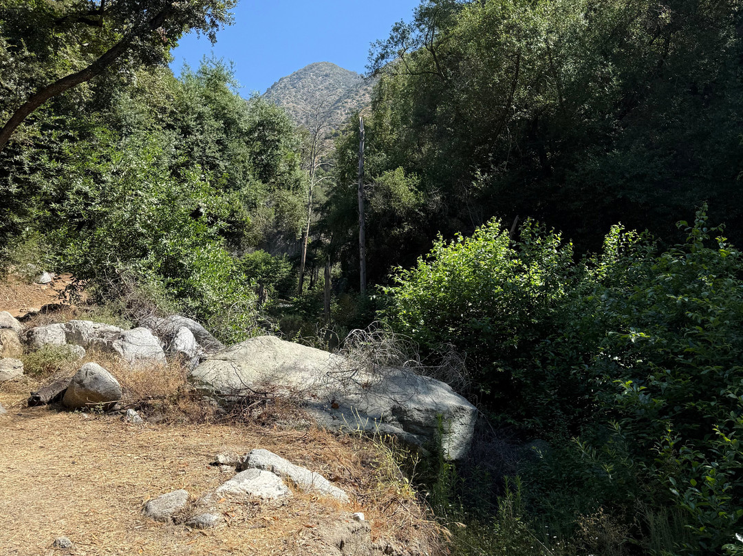 Monrovia Canyon Park-蒙罗维亚必去景点