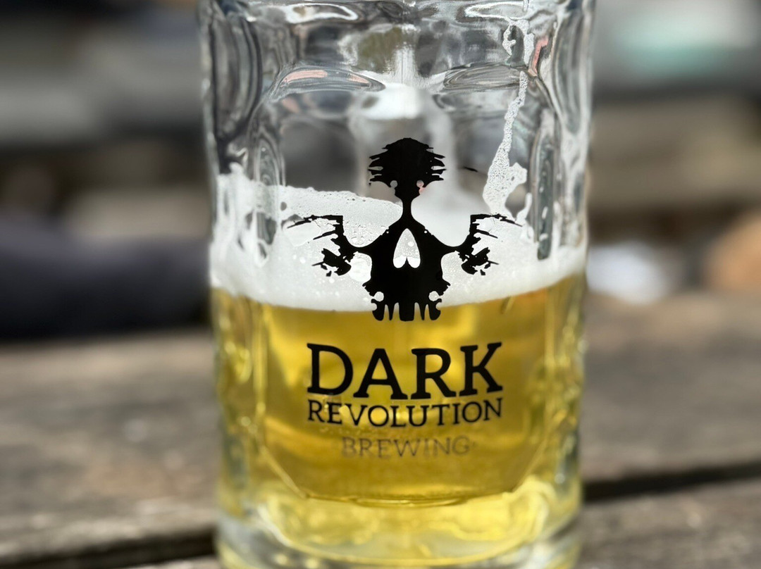 Dark Revolution Brewery & Tap Room-索尔兹伯里必去景点