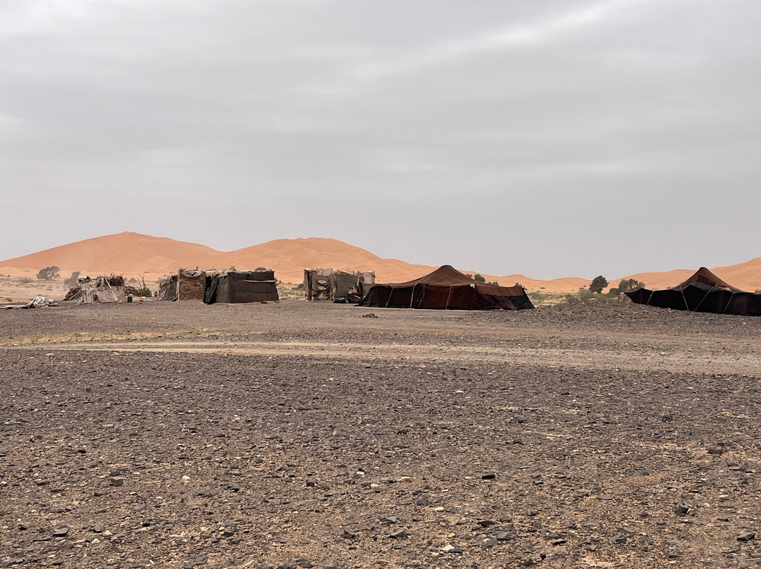 Marrakech Camel Trips-非斯必去景点