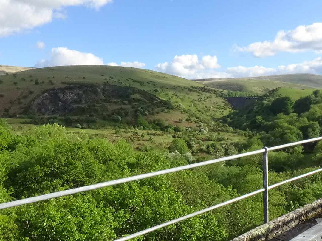 Meldon Viaduct-Graddon Cross必去景点