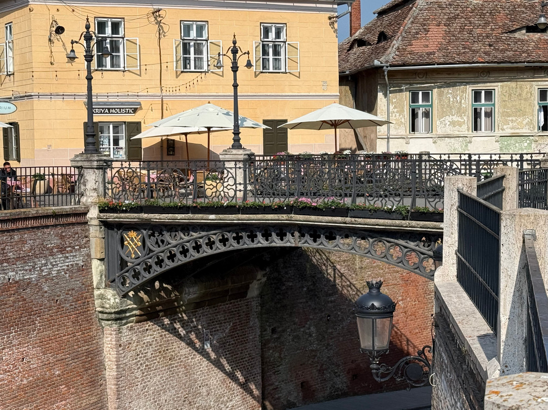 Sibiu Transylvania Tour Guide-锡比乌必去景点