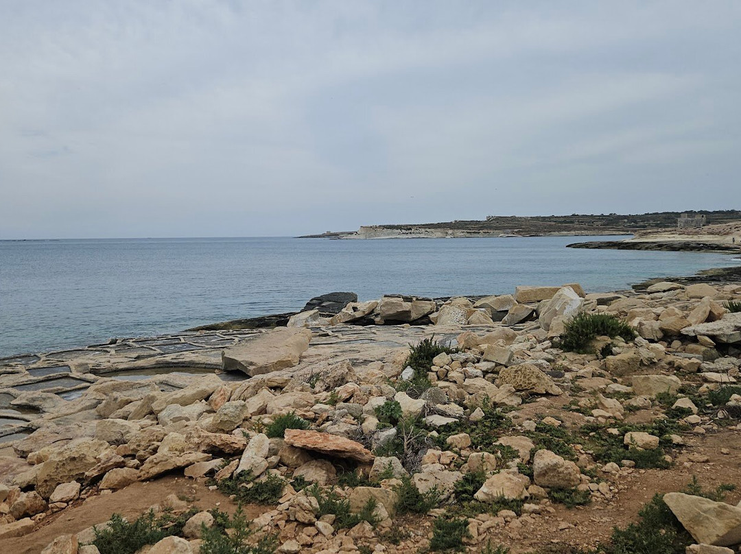Zonqor Point Salt Pans-Marsascala必去景点
