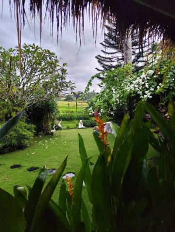 Coco Verde Bali Resort-旅行者