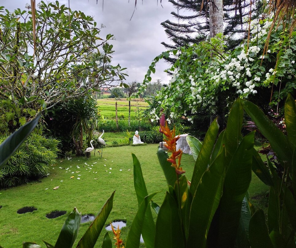 Coco Verde Bali Resort主图