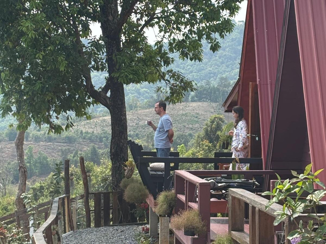 Mountain springs resort