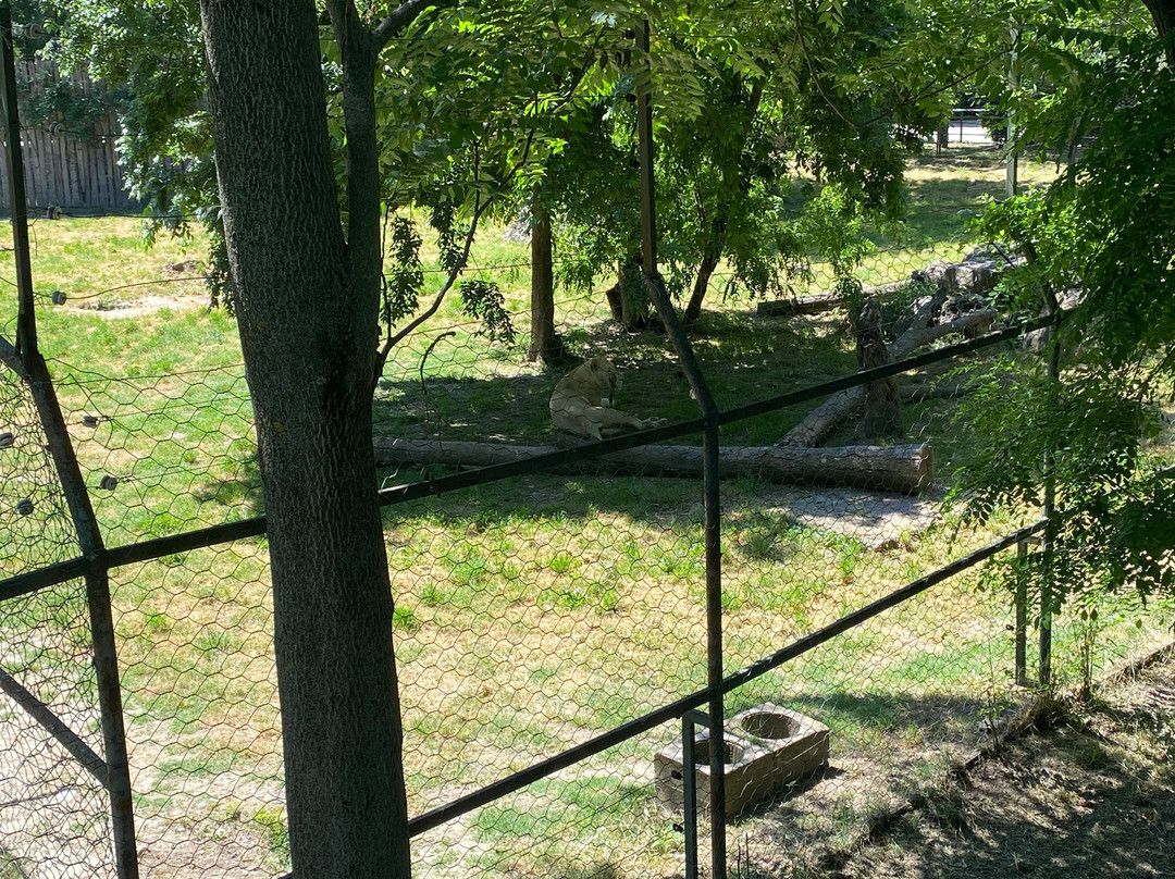 Skopje ZOO-斯科普里必去景点