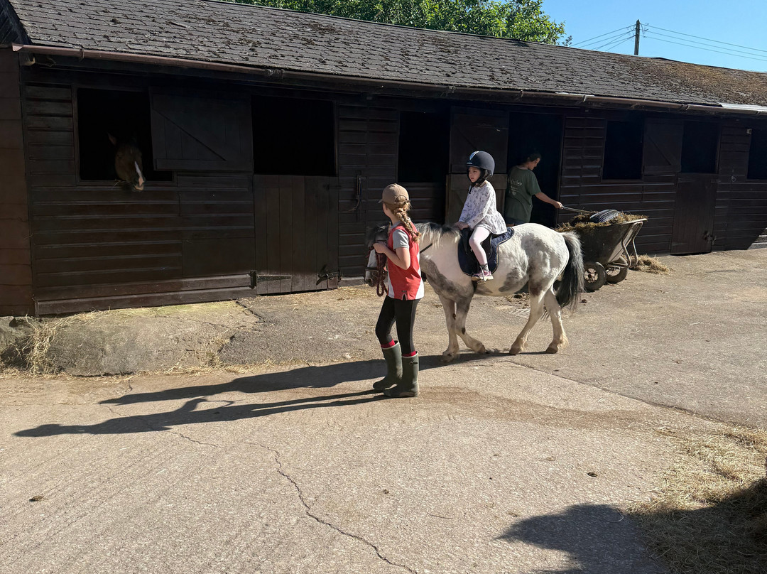 Pine Lodge Riding On Exmoor-Dulverton必去景点