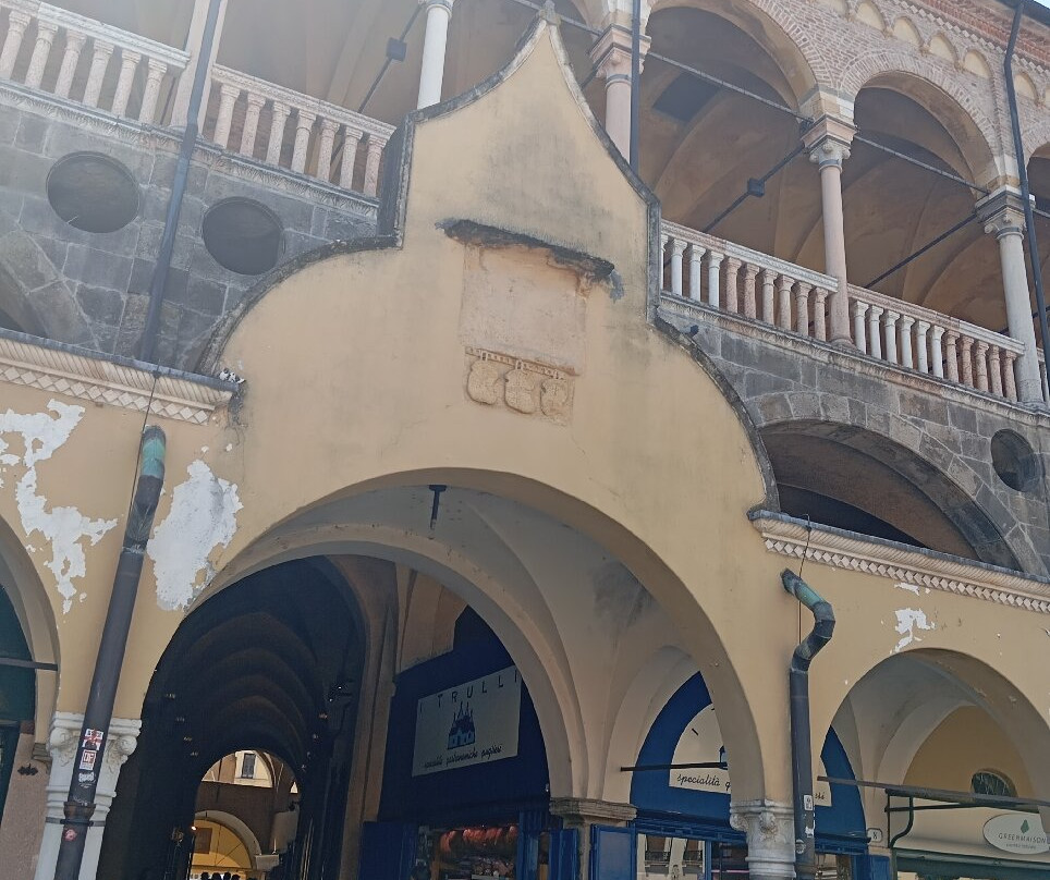 Piazza della Frutta-帕多瓦必去景点