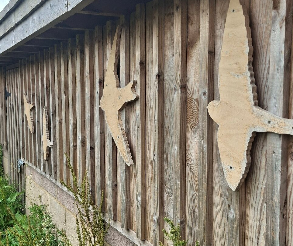 Langford Lakes Nature Reserve-Steeple Langford必去景点