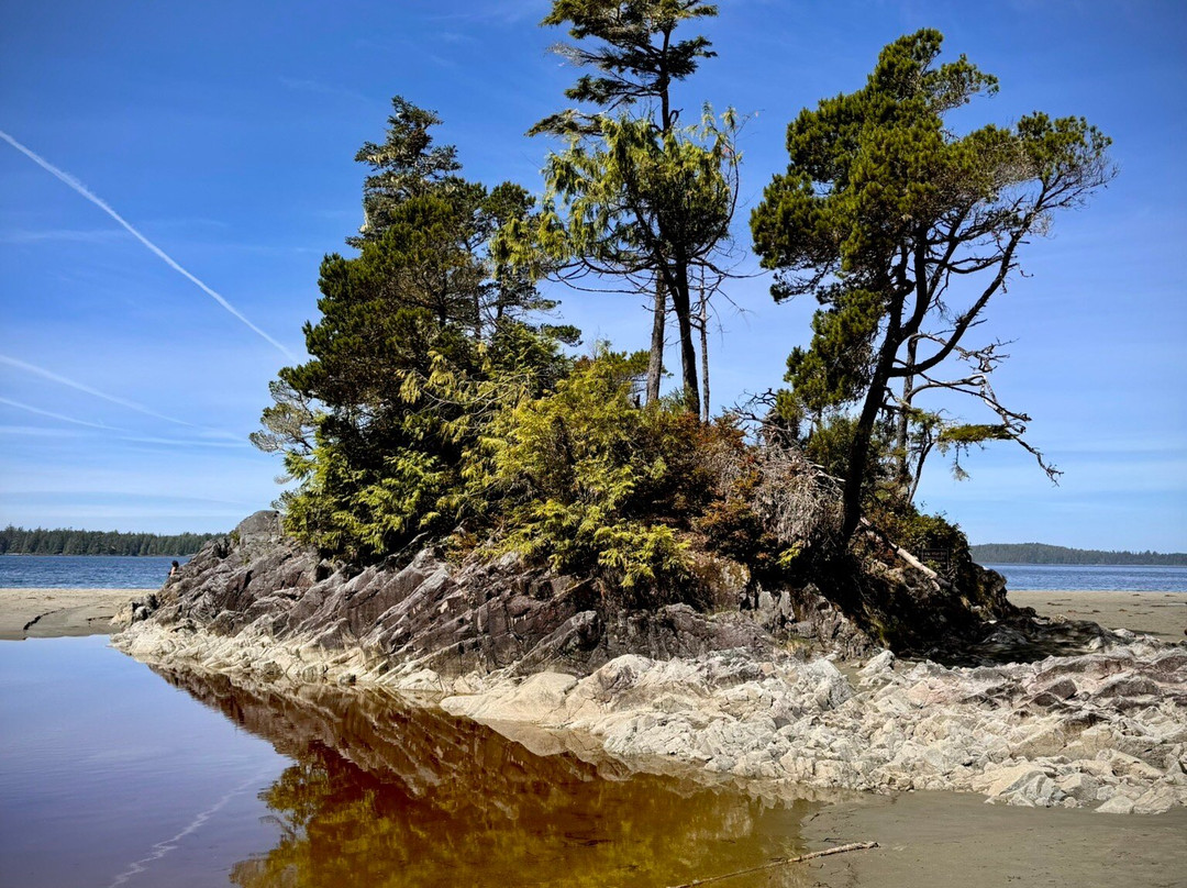 Tonquin Park-托菲诺必去景点