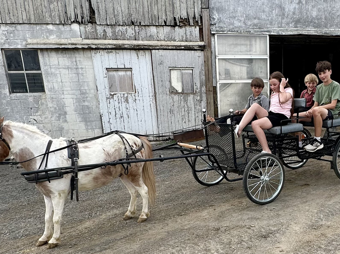 Amish Meals With The Blank Family-Narvon必去景点