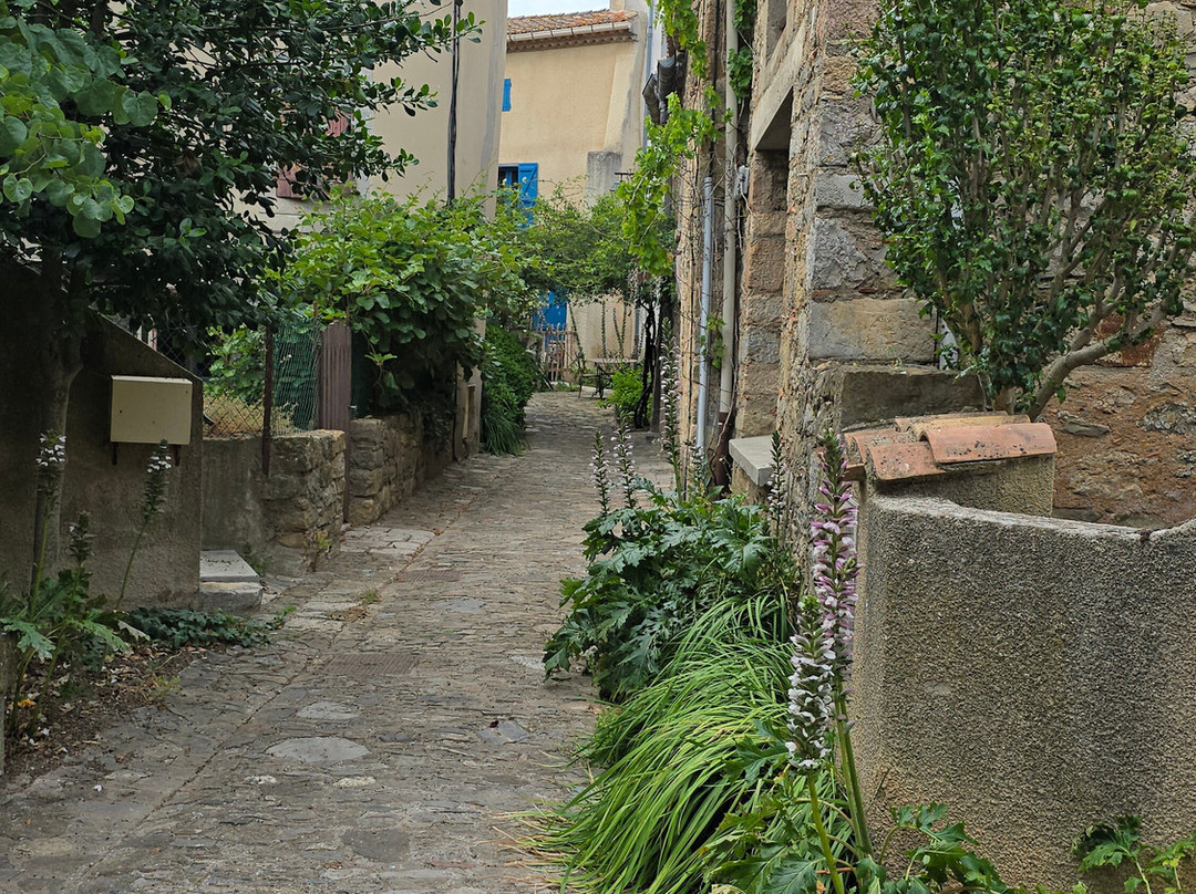 Chateau de Villerouge-Termenes-Villerouge-Termenes必去景点
