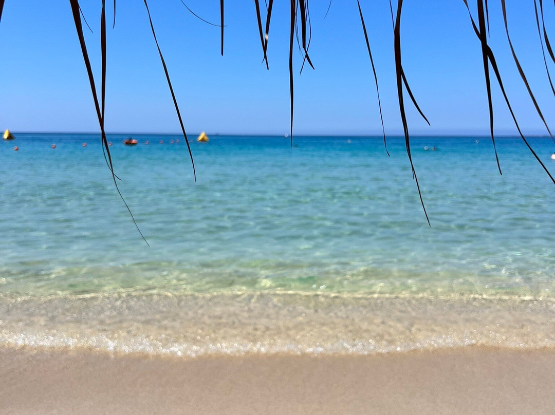Makris Gialos Beach, Kefalonia-Lassi必去景点